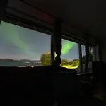 Northern Lights Mortenhals