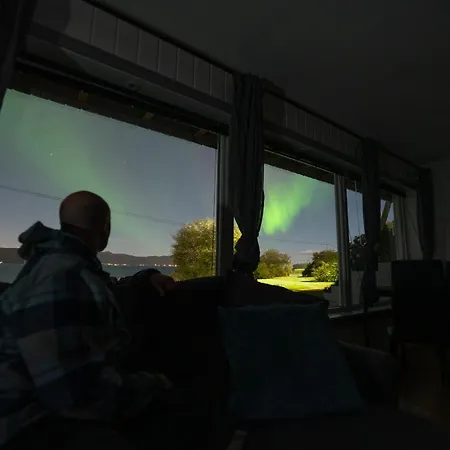 Northern Lights * Mortenhals