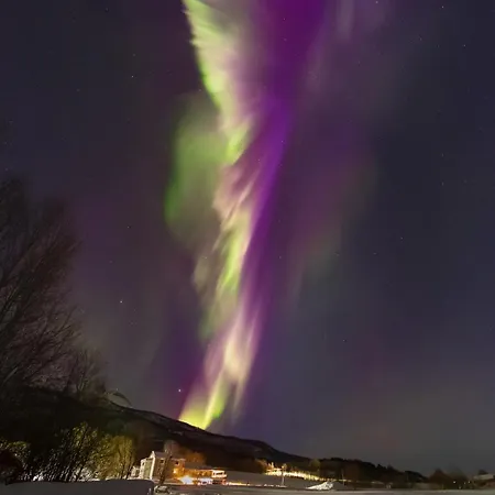 Northern Lights Apartment Mortenhals