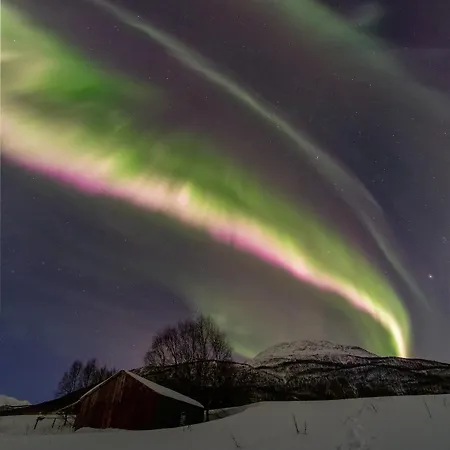 Northern Lights * Mortenhals