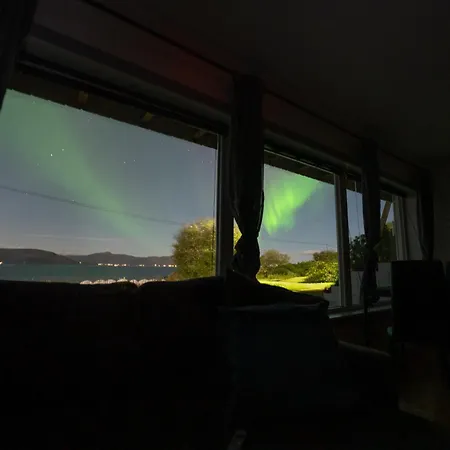 Northern Lights Mortenhals