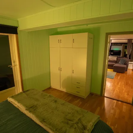 Northern Lights Mortenhals