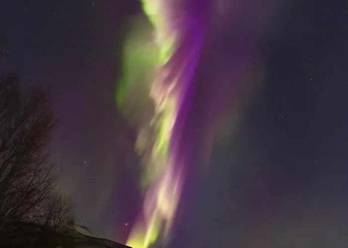 Northern Lights Appartamento Mortenhals