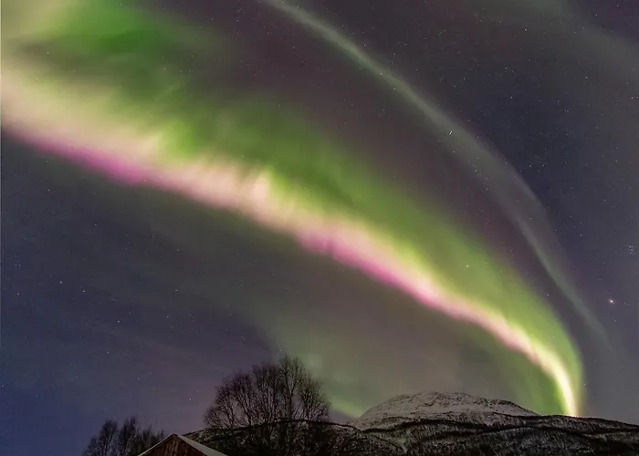 Northern Lights * Mortenhals