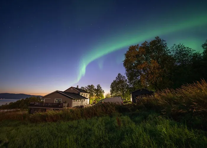 Northern Lights *