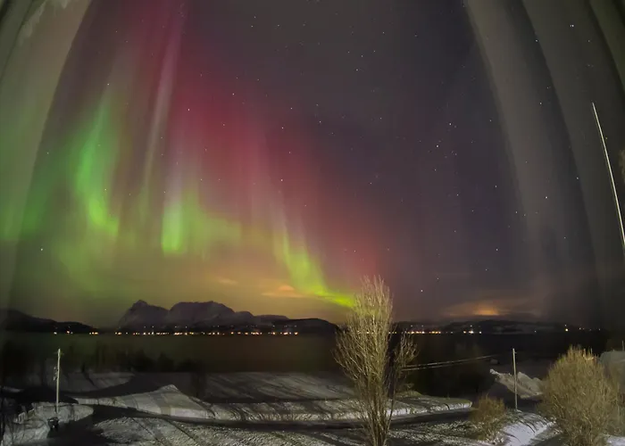 Apartment Northern Lights Mortenhals