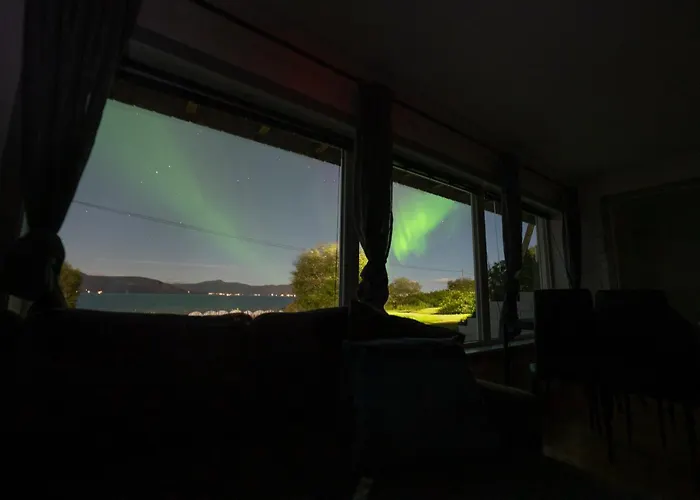 Northern Lights Mortenhals