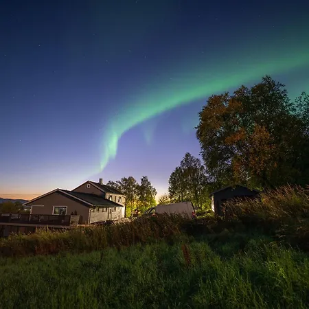 Northern Lights *