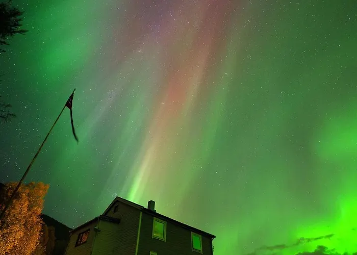 Northern Lights شقة Mortenhals